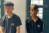 Bắt 2 anh em Đào Duy Hổ và Đào Duy Gấu
