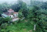 Hai 'báu vật sống' hơn 200 năm tuổi ở Hà Tĩnh: Trị giá trăm tỷ, nay chính thức trở thành Di sản Việt Nam