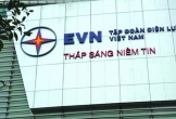 Kiểm toán Tập đoàn Điện lực Việt Nam EVN
