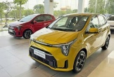 Kia Morning 2025 từ 439 triệu về Việt Nam, 'đấu' Toyota Wigo và Hyundai i10