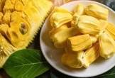 Khám phá giá trị dinh dưỡng và công dụng tuyệt vời của quả mít