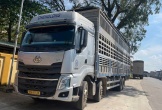 Phát hiện xe tải chở 48 con trâu, bò không rõ nguồn gốc ở Nghệ An