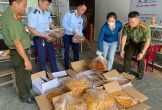 Nghệ An ra quân kiểm tra an toàn thực phẩm dịp Tết Trung thu