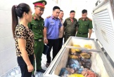 Nghệ An: Khởi tố người phụ nữ, giết mổ, bày bán lợn nhiễm dịch tả châu Phi