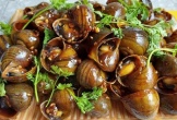 Ăn ốc: Lợi ích, tác hại và nguyên tắc an toàn