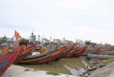 2.366 phương tiện đã neo đậu tại bến tránh trú bão