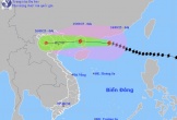 Siêu bão số 9 Ragasa suy yếu xuống cấp 15-16, giật trên cấp 17, dự báo đổ bộ vào đâu?