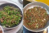Báu vật sống ở đáy sông Hồng mà có cánh: Không phải tôm, cua, cá, nhưng có vị béo ngậy, giá lên đến 500.000 đồng/kg  