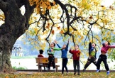 Ngang hàng Kyoto và Nami, thành phố duy nhất của Việt Nam lọt Top 7 điểm đến mùa thu đẹp nhất châu Á