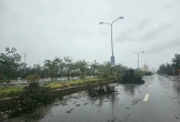 Cửa Lò thiệt hại nặng nề sau bão số 10, hơn 800 nhà dân tốc mái, hàng loạt tuyến phố ngập sâu