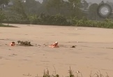 VIDEO: Công an xã liên tiếp cứu các nạn nhân giữa dòng nước lũ
