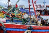 Nghệ An: Tàu thuyền được phép ra khơi từ 16 giờ ngày 30/9