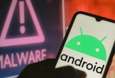 Người dùng Android cần cập nhật thiết bị khẩn cấp vì lý do này