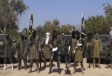 Nigeria: Phiến quân Boko Haram thảm sát 63 người ở bang Borno