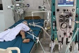 Ong đốt khiến 1 trẻ tử vong, 1 trẻ nguy kịch