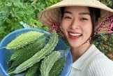 Bên trong nhà phố ngập hoa và rau xanh của Diệp Bảo Ngọc