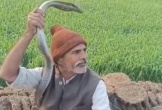 Khoe khoang bắt được rắn hổ mang, người đàn ông bị cắn tử vong