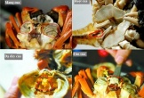 Bốn bộ phận của cua rất bẩn, ngon mấy cũng nên tránh ăn