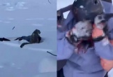 Nữ du khách bị báo tuyết tấn công vào mặt khi đang cố gắng chụp ảnh