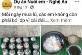 Thông tin mới về Dự án 