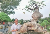 Loại cây mang tên động vật lên chậu thành bonsai, giá 500 triệu đồng chủ nhân vẫn không bán
