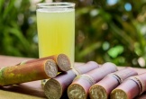 Nước mía gừng sả chanh có thực sự tốt như lời đồn? Uống thế nào mới đúng?