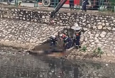 Phát hiện thi thể đang phân hủy nổi trên sông Kim Ngưu, Hà Nội