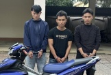 Bắt nhanh 3 đối tượng cướp giật sau 5 giờ gây án