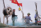 Ngư dân Nghệ An mỏi tay gỡ cá trích