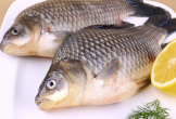 3 loại cá bình dân là 'thuốc quý' giúp bổ gan, dưỡng thận