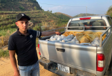 Bắt vụ nghi vận chuyển khoảng 900 lít xăng qua biên giới