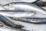 5 loại cá là 'thuốc quý' giúp sạch mạch máu, ngừa đột quỵ