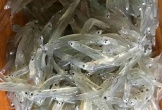 Đặc sản quý mỗi năm chỉ có một mùa, rất giàu canxi, từ già tới trẻ ai cũng mê