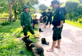 Hơn 100 người cùng chó nghiệp vụ vây ráp vùng rừng biên giới truy bắt nghi phạm giết vợ cũ