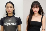 Lý do Miu Lê chưa bị khởi tố trong vụ việc liên quan ma túy tại Cát Bà