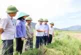 Phó Chủ tịch UBND tỉnh Nguyễn Văn Đệ kiểm tra tình hình sản xuất, thu hoạch lúa Xuân tại các xã: Kim Liên, Đại Huệ và phường Vinh Lộc