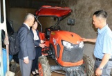 Phát triển chuỗi giá trị tỏi Sanuki tại Nghệ An, tạo sinh kế bền vững