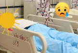Suy thận cấp rình rập đợt nắng đỉnh điểm, nhiều người trẻ gục ngã