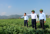 Chủ tịch UBND tỉnh Võ Trọng Hải làm việc với lãnh đạo các xã vùng Nam Đàn