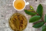 Uống nước lá ổi đúng cách: Bí quyết giúp hỗ trợ giảm cân hiệu quả