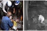 Ông lão 70 tuổi bán vé số bị cướp lấy đá đập vào đầu, trước đó bị lục tung túi vì nghi trộm điện thoại
