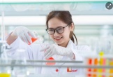 ĐH Tôn Đức Thắng tụt hơn 100 bậc trên xếp hạng đại học thế giới