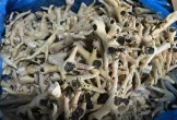 Hiểm họa từ món chân gà