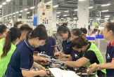 Kinh tế tư nhân - động lực đưa Nghệ An trở thành cực tăng trưởng của Bắc Trung Bộ