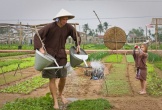 Việt Nam có ngôi làng khách Tây xếp hàng để được làm nông dân, bí quyết rau ngon nằm ở một loại 