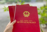 Nghệ An: Vấn đề đất đai làm 