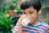 Trẻ biếng ăn có nên uống sữa cao năng lượng?