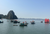 Các tỉnh, thành phố từ Quảng Ninh đến Thanh Hoá nhanh chóng ứng phó bão số 1