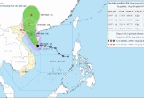 Bão số 1 cách Móng Cái (Quảng Ninh) khoảng 170 km, giật cấp 11