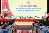 Ông Trần Minh Ngọc tiếp tục giữ chức Chủ tịch Hội nhà báo Nghệ An